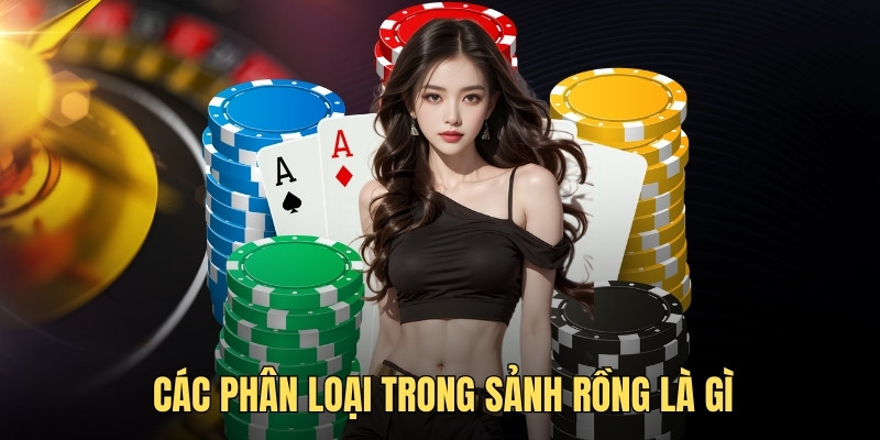 Các phân loại trong sảnh rồng là gì