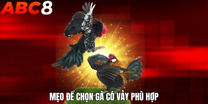 Mẹo để chọn gà có vảy phù hợp