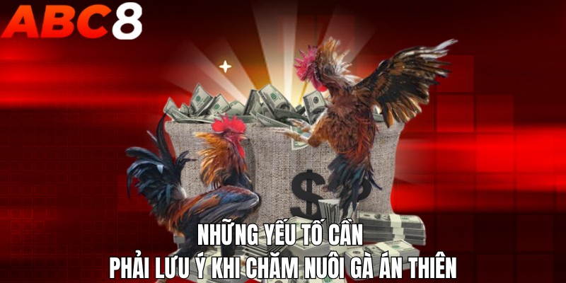 Những yếu tố cần phải lưu ý khi chăm nuôi gà án thiên