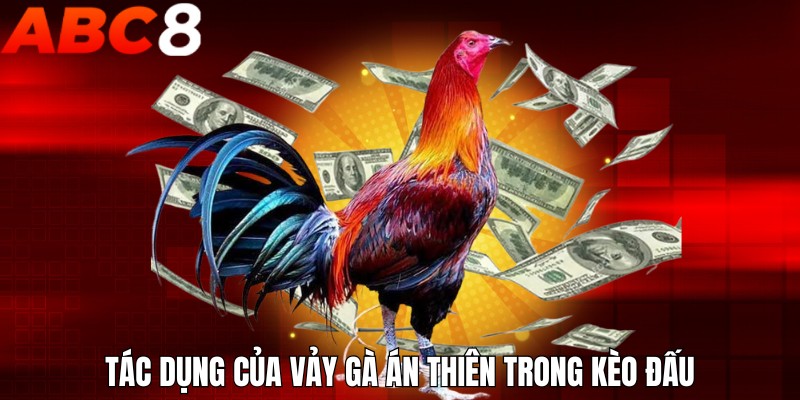 Tác dụng của vảy gà án thiên trong kèo đấu